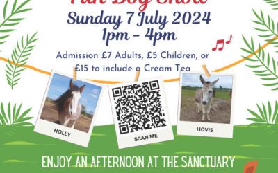 Remus Open Day on 7 July