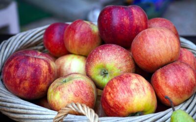 Community Orchard: Volunteers Needed